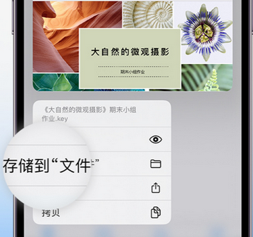 桂平apple维修中心分享iPhone文件应用中存储和找到下载文件