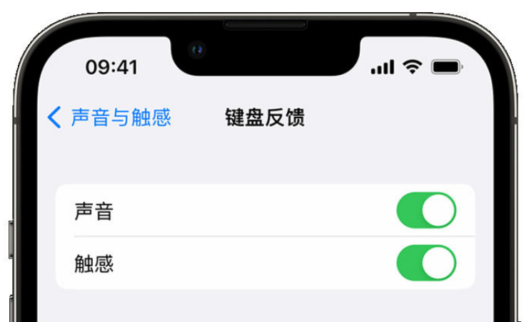 桂平苹果手机维修分享iPhone 14触感键盘使用方法 