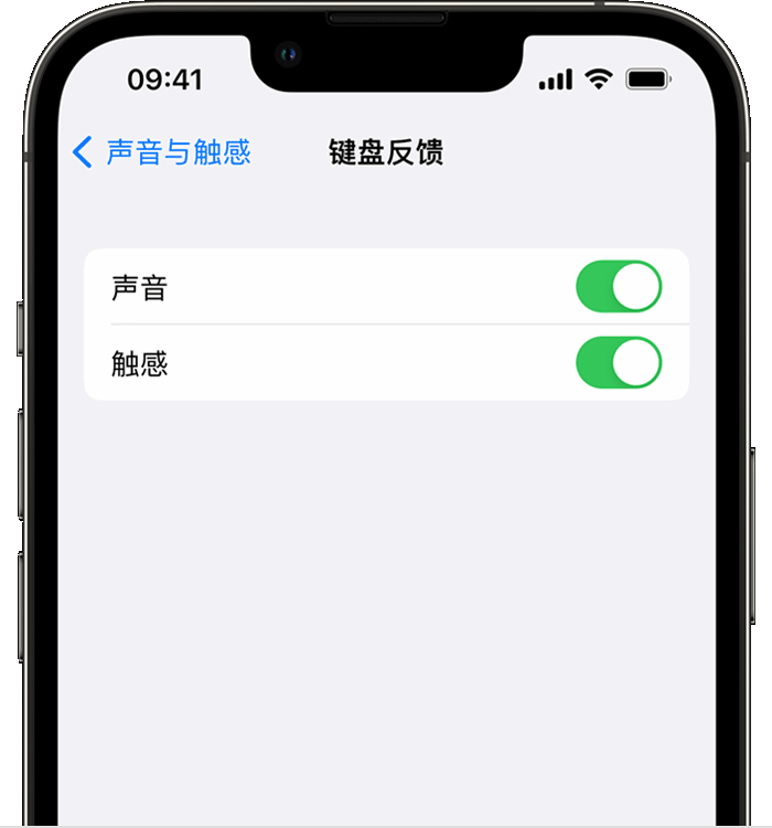 桂平苹果14维修店分享如何在 iPhone 14 机型中使用触感键盘 