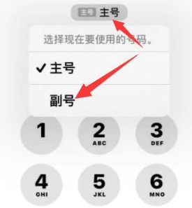 桂平苹果14维修店分享iPhone 14 Pro Max使用副卡打电话的方法 