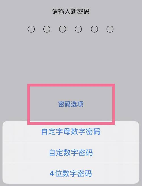 桂平苹果14维修分享iPhone 14plus设置密码的方法 