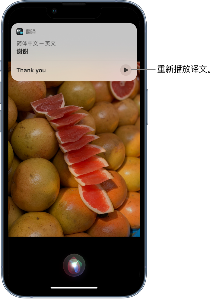 桂平苹果14维修分享 iPhone 14 机型中使用 Siri：了解 Siri 能帮你做什么 