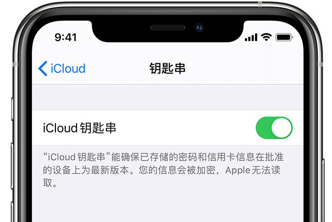 桂平苹果手机维修分享在 iPhone 上开启 iCloud 钥匙串之后会储存哪些信息 