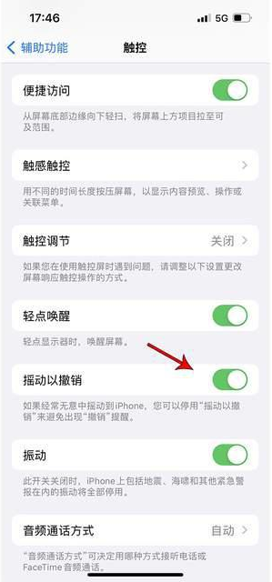 桂平苹果手机维修分享iPhone手机如何设置摇一摇删除文字 