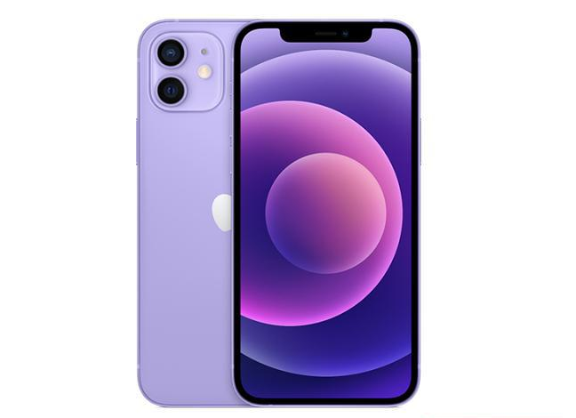 桂平苹果手机维修分享现阶段要不要入手紫色版iPhone12 