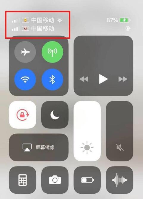 桂平苹果手机维修分享为 iPhone 12 双卡设置标签 